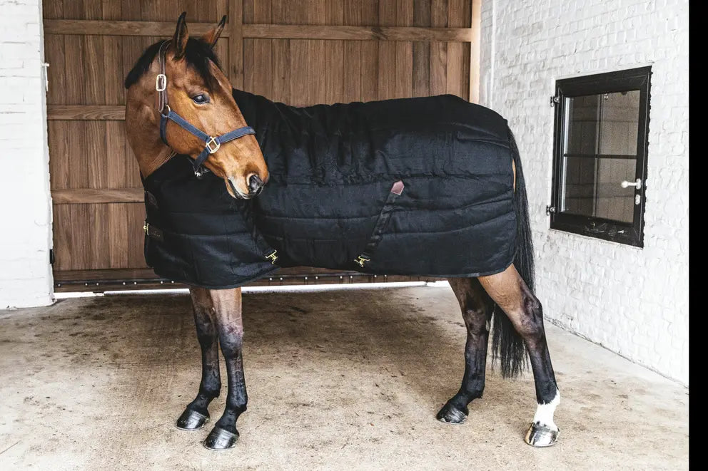 Stable Rug Classic