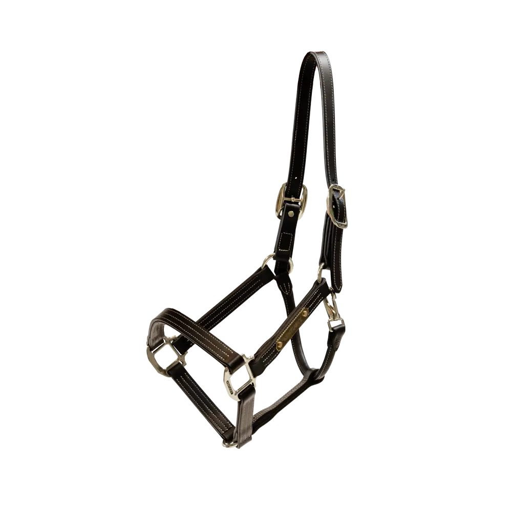 NEW! Leather Halter Wellington