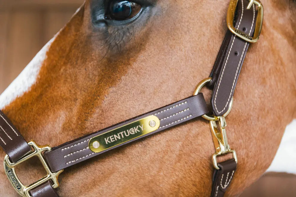 NEW! Leather Halter Wellington