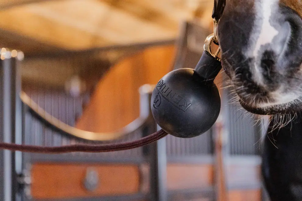 Rubber Ball Protection wall & lead