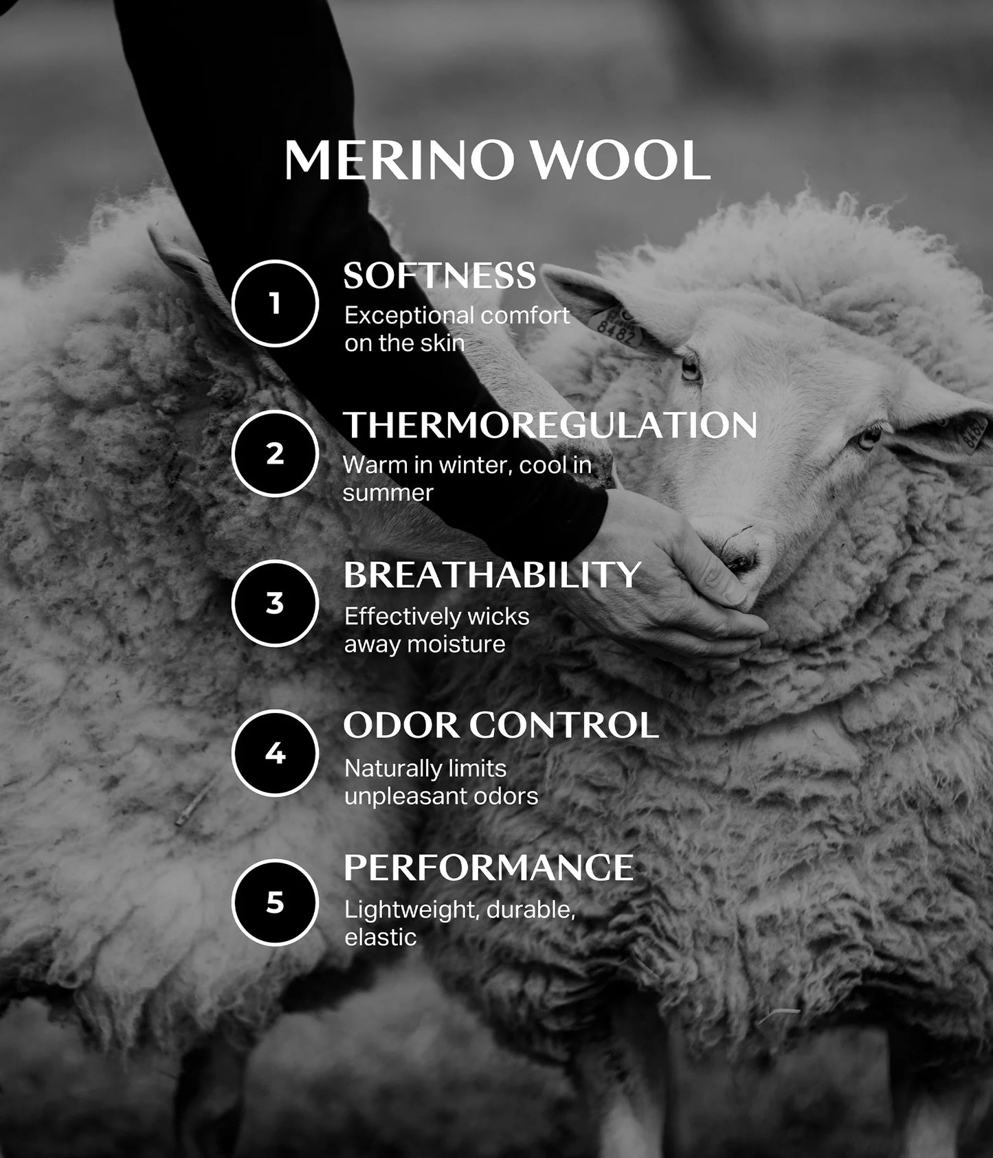 Merino Wool Polo Riding Shirt