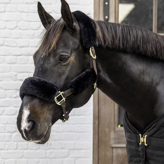 Sheepskin Halter Set Of 4