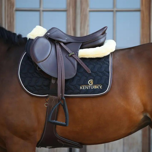Stud Girth | Brown