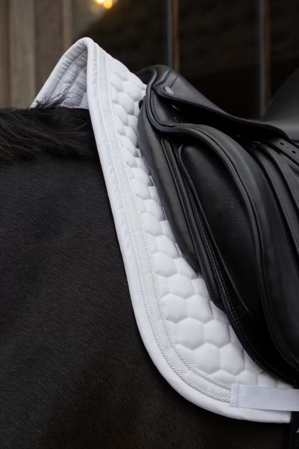 Saddle Pad Glitter Band Dressage