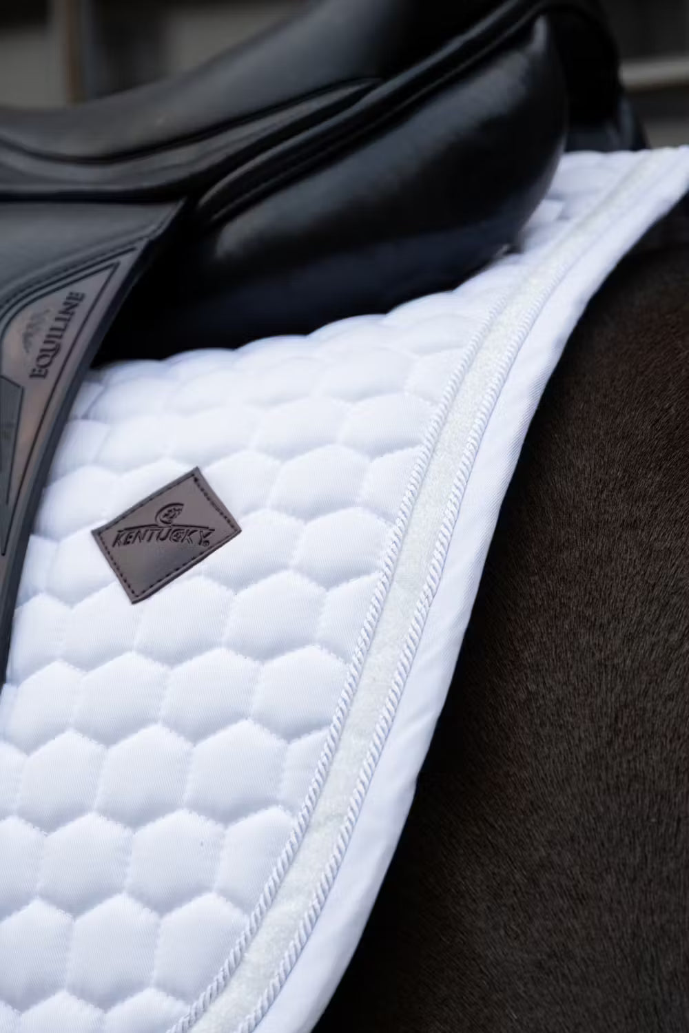 Saddle Pad Glitter Band Dressage