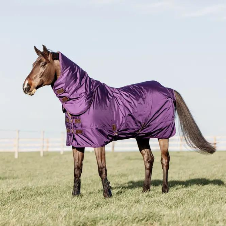 Turnout Rug All Weather Waterproof Pro 160g | Royal Purple