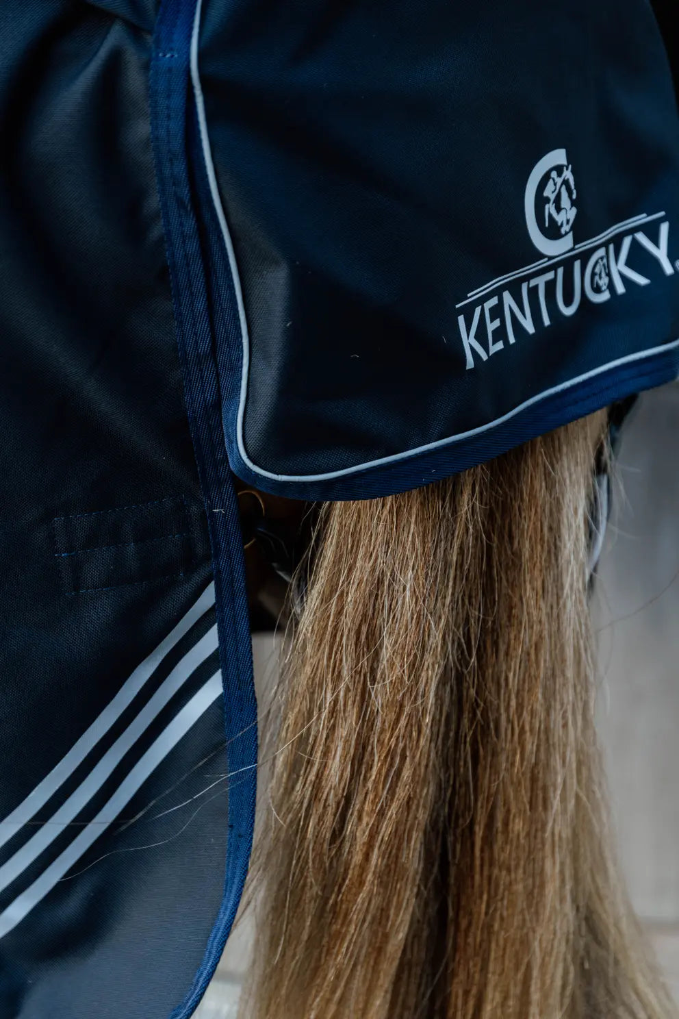 Turnout Rug All Weather Waterproof Comfort | Navy