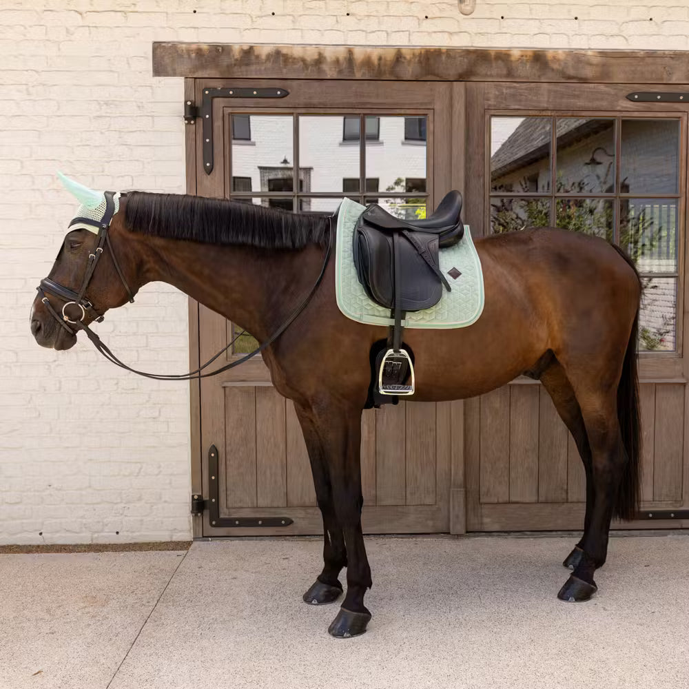 NEW! VELVET Saddle Pad Dressage