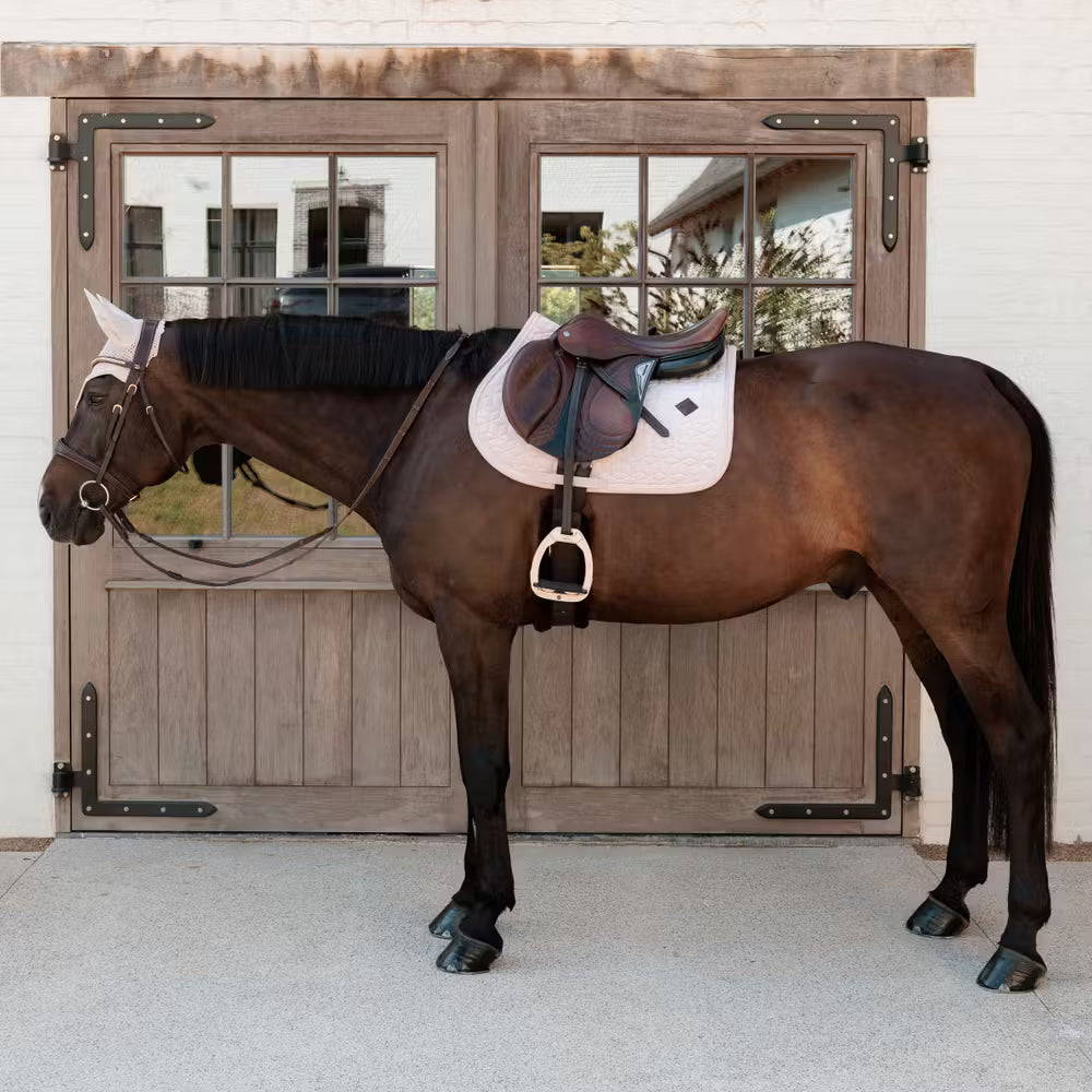 NEW! VELVET Saddle Pad Jumping