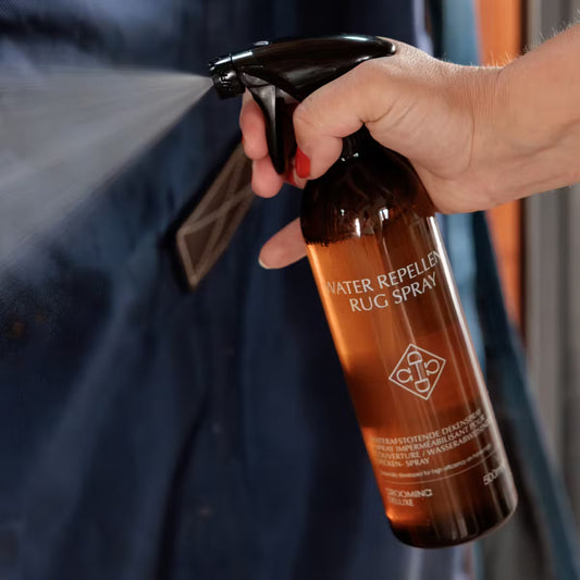Water Repellent Rug Spray