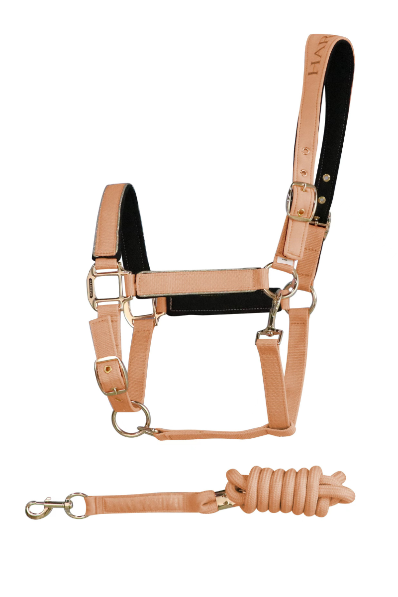 HANSY - Halter & Lead