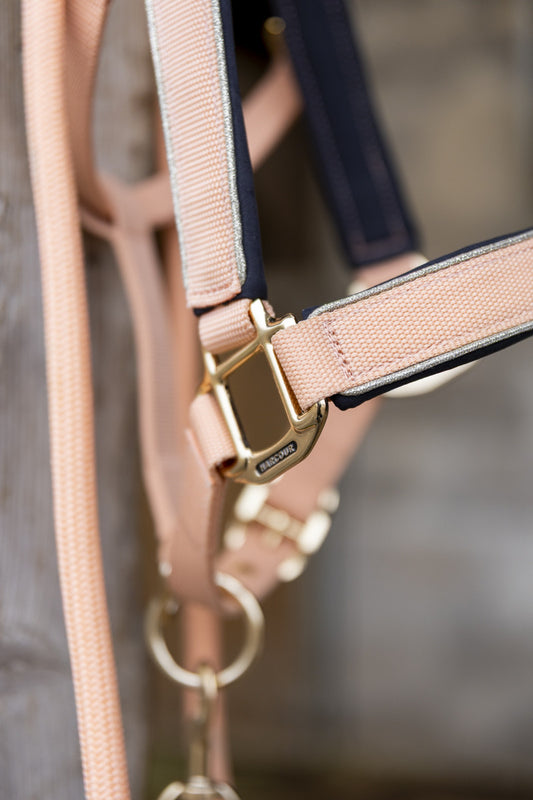HANSY - Halter & Lead