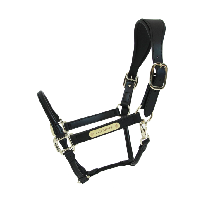 Anatomic Leather Halter