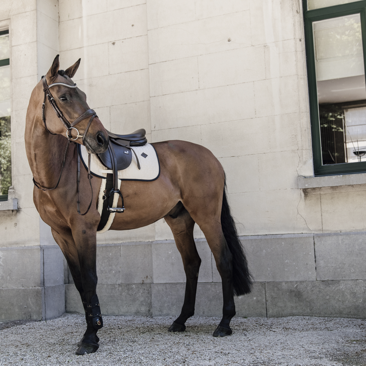 Softshell Jumping Saddle Pad | Beige