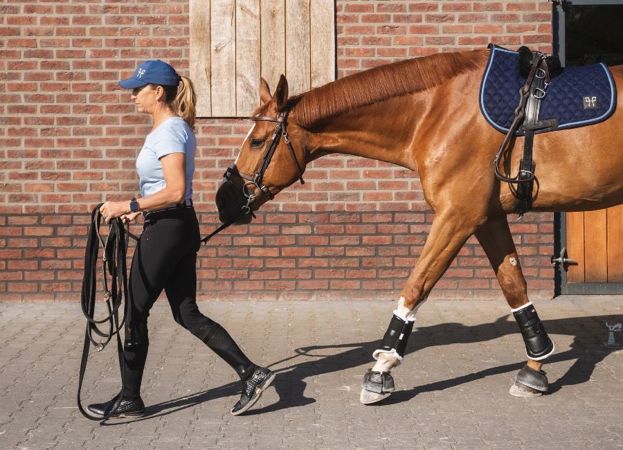 Horse Pilot Saddle Pad | Navy