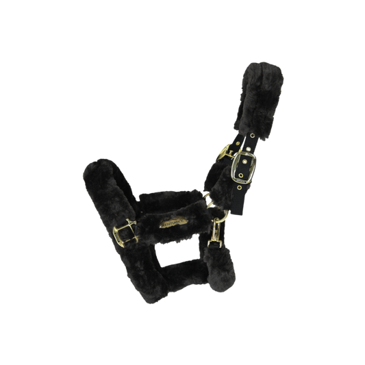 Sheepskin Shipping Halter | Black