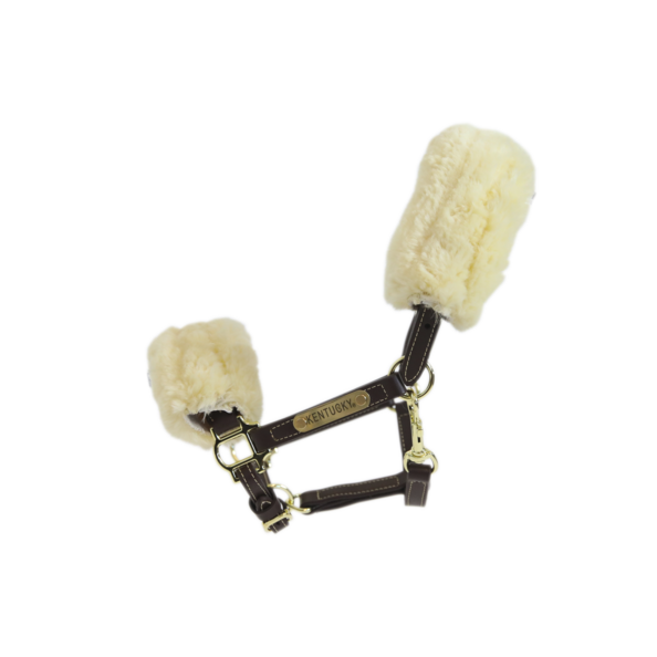 Leather Halter Sheepskin | Pony