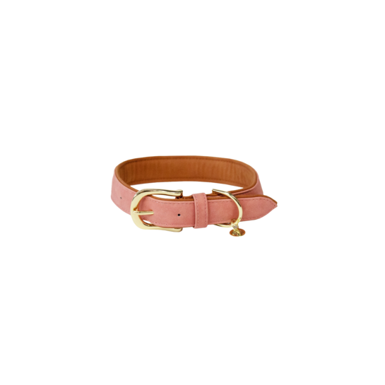 Collier pour chien en cuir végétalien souple | Pêche
