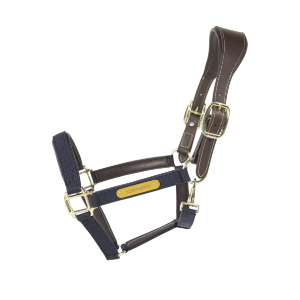 Nylon Anatomic Halter | Navy