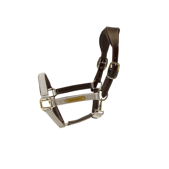 Nylon Anatomic Halter | Beige