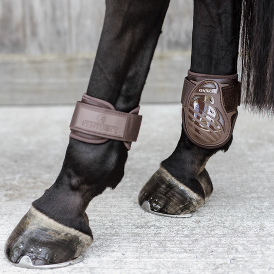 Young horse fetlock boots | Brown