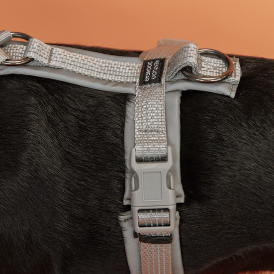 Harnais pour chien Active Reflective