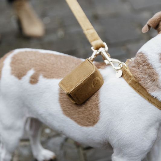 Square Poop Bag Velvet | Mustard