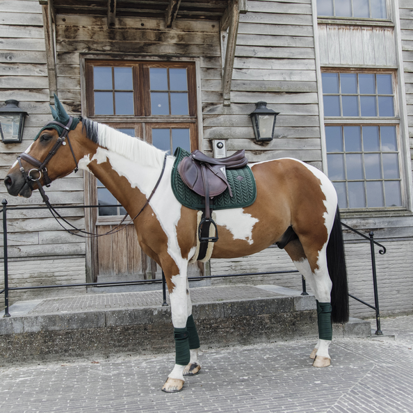 Velvet PEARLS Jumping Saddle Pad | Pine Green