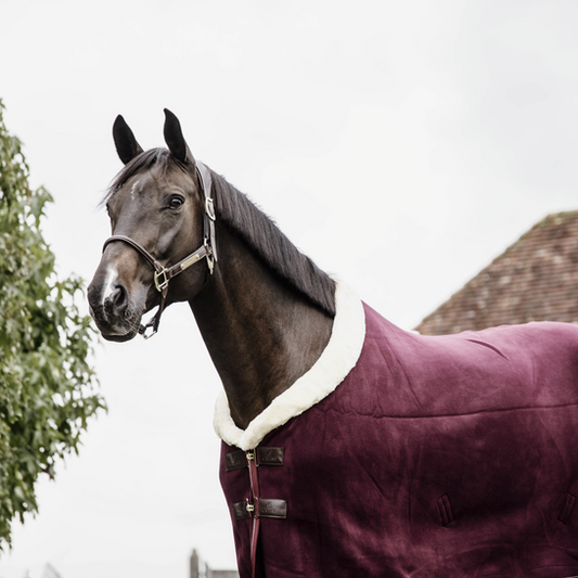 Fleece Show Rug Heavy | Bordeaux