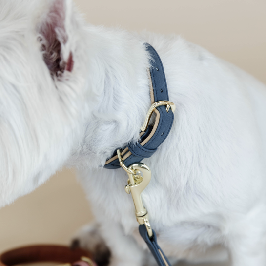 Collier pour chien en cuir vegan souple | Bleu