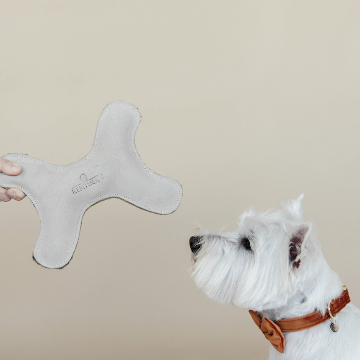 Pastel Bone Dog Toy | Cream