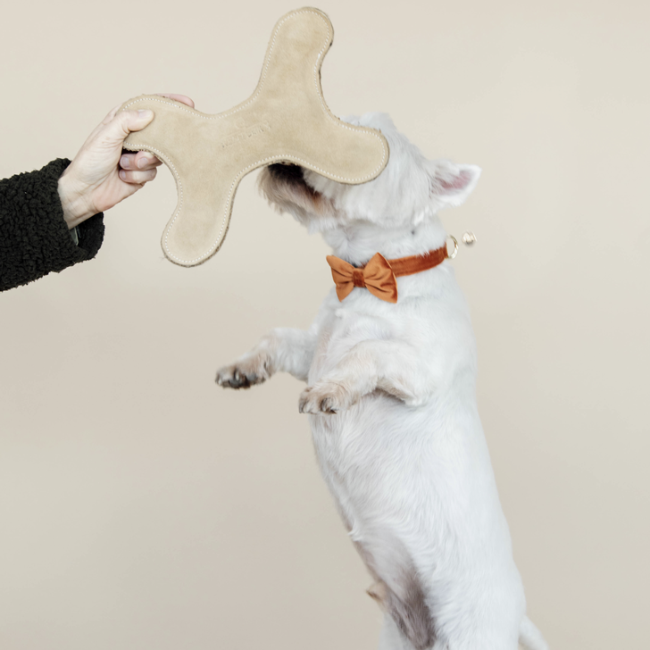 Pastel Bone Dog Toy | Beige