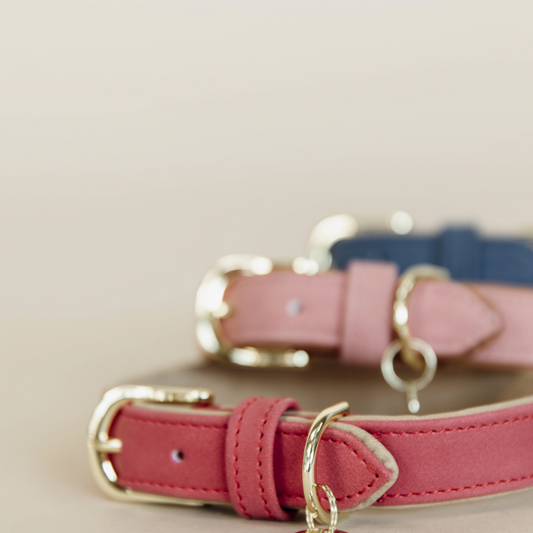 Collier pour chien en cuir vegan souple | Rouge