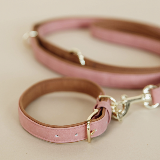 Collier pour chien en cuir végétalien souple | Pêche