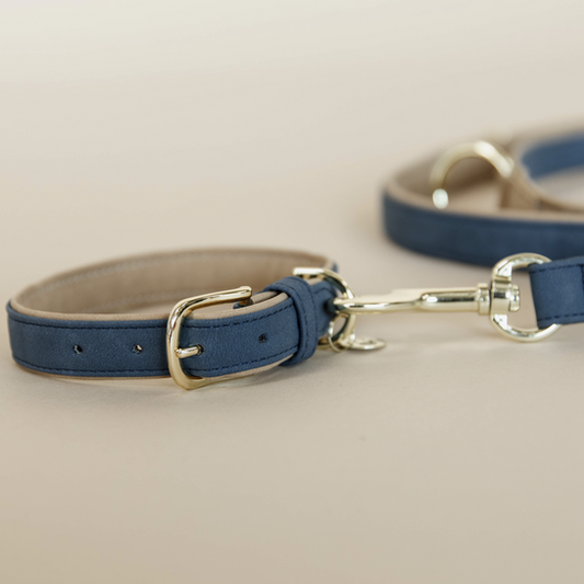 Collier pour chien en cuir vegan souple | Bleu