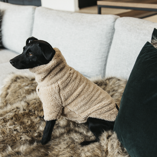 Dog Sweater Teddy Fleece | Beige