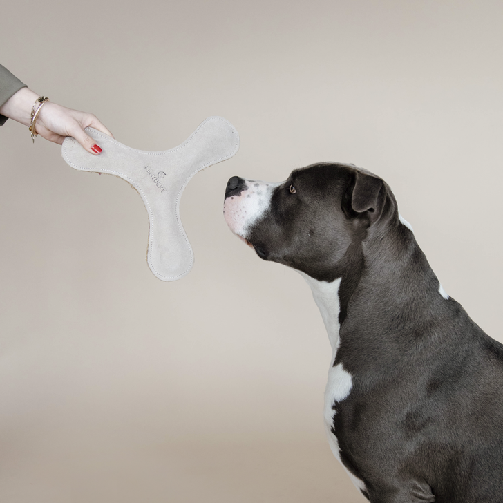 Pastel Boomerang Dog Toy | Cream
