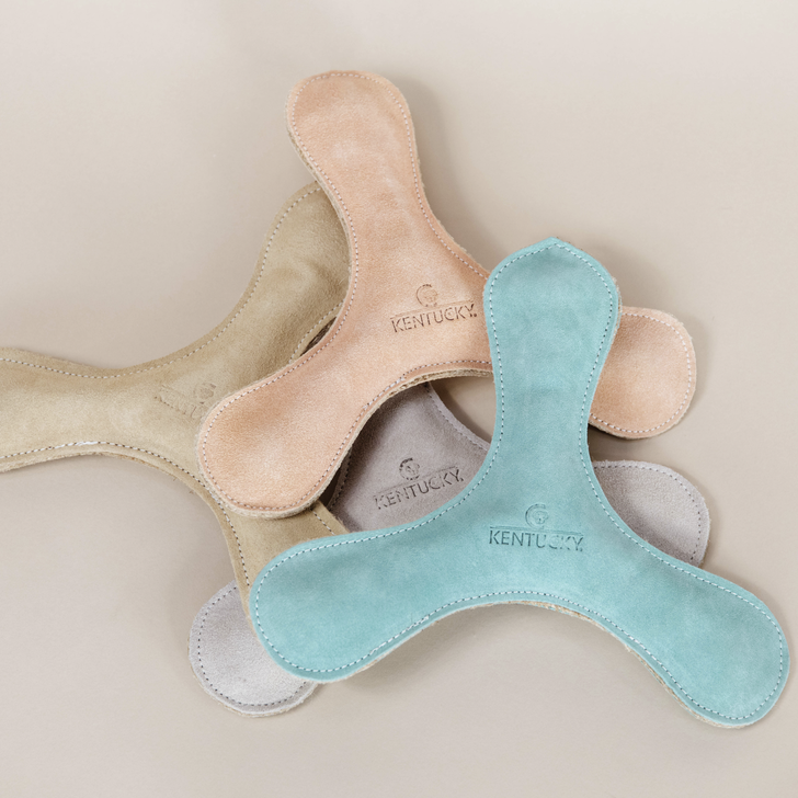 Pastel Boomerang Dog Toy | Emerald