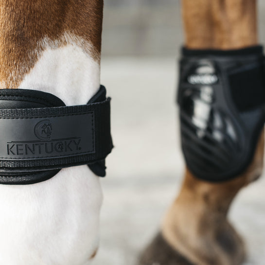 Young horse fetlock boots | Black