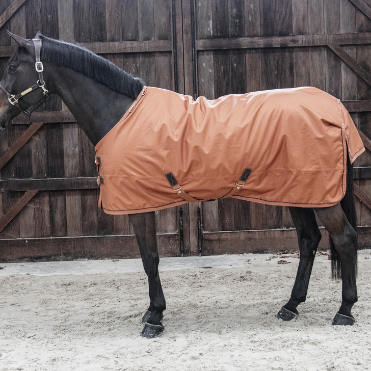 Turnout Rug All Weather Waterproof Pro 160g | Autumn Orange