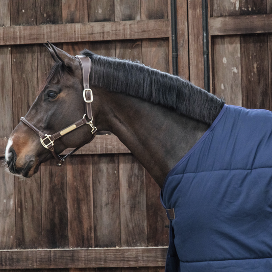Under Rug Classic 300g | Navy
