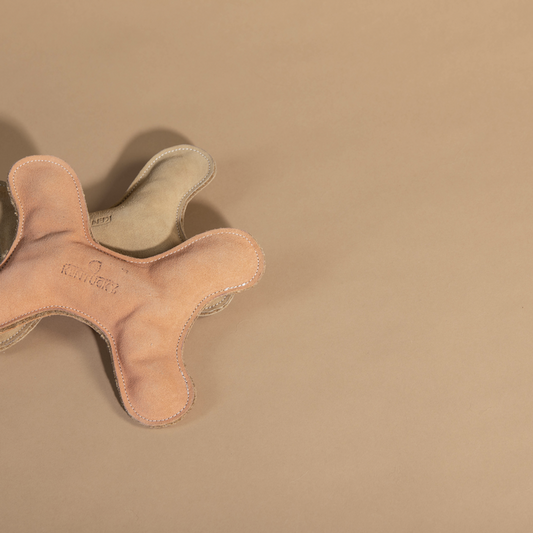 Pastel Bone Dog Toy | Peach