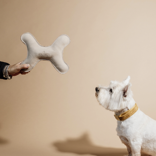 Pastel Bone Dog Toy | Cream