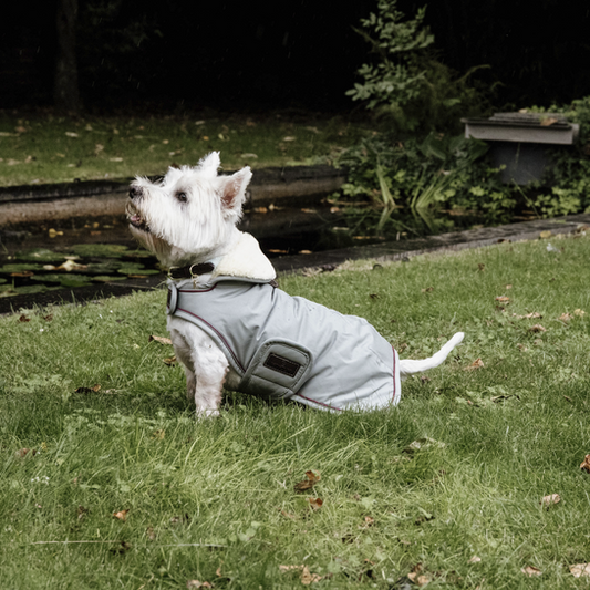 Dog Coat Waterproof 160g | Dusty Blue