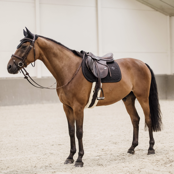 Glitter Rope Jumping Saddle Pad | Black