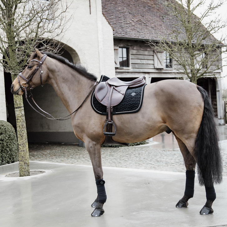 Basic Velvet Jumping Saddle Pad | Black