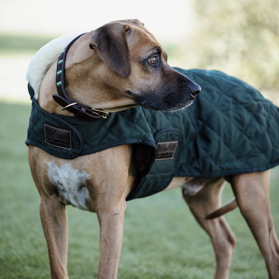 Dog Coat Original | Dark Green