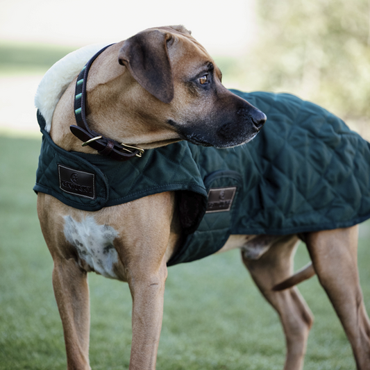 Dog Coat Original | Dark Green