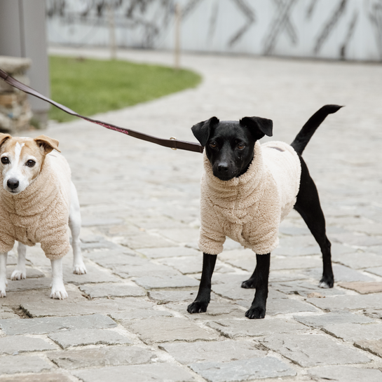 Dog Sweater Teddy Fleece | Beige