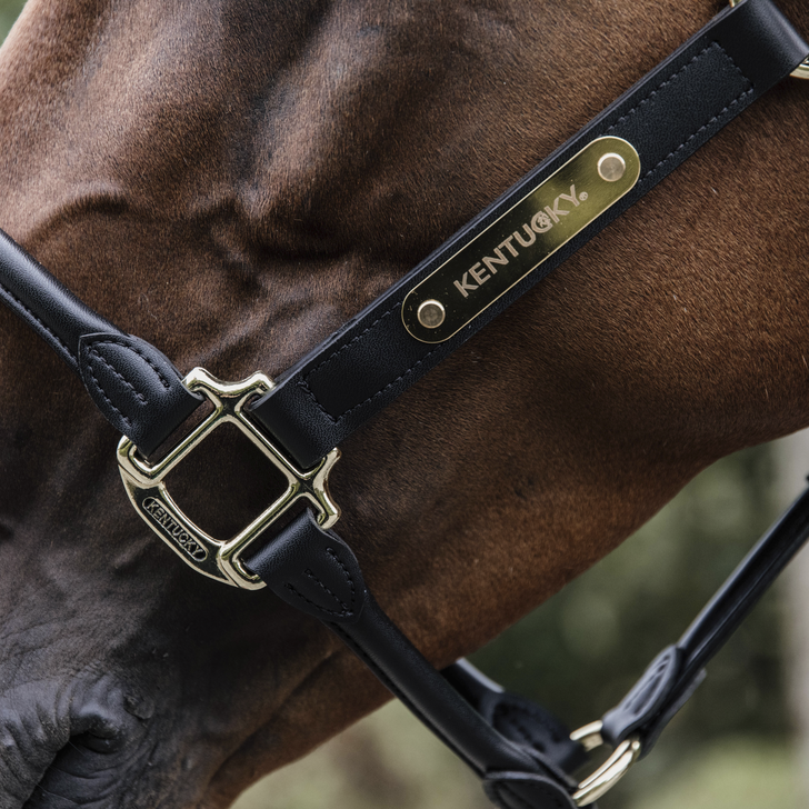 Anatomic Leather Halter